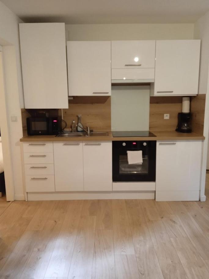 Jolie T2 - Tres Grande Terrasse Apartment Тонон-ле-Бен Екстериор снимка